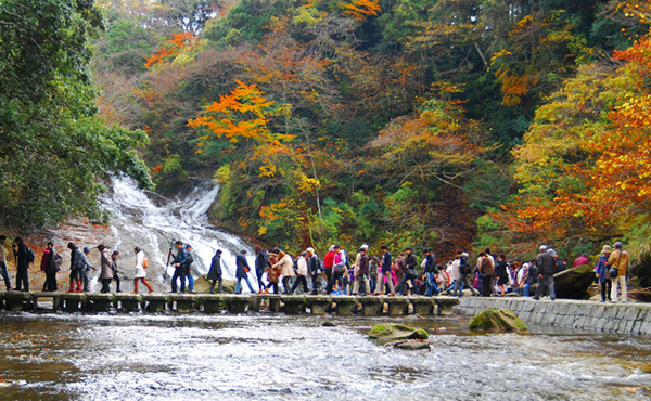 養老渓谷の紅葉 | 千葉（九十九里・房総半島）のリゾートホテル【ホテル一宮シーサイドオーツカ】