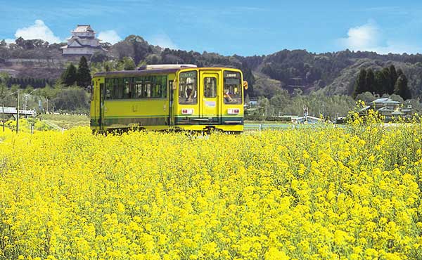 観光 房総 半島 電車で行く千葉房総半島